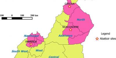 Camerún mostrando las regiones mapa